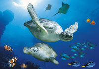 Sea Life London Aquarium